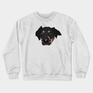 Setter Crewneck Sweatshirt